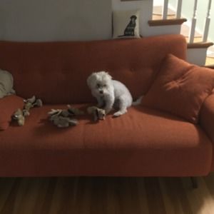 Meet your Posher, Cate